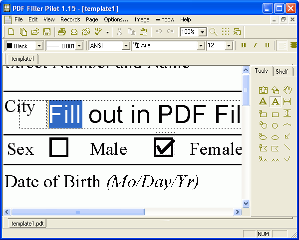 PDF Filler Pilot Image