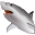 Shark Water World 3D Screensaver Software Download