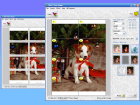 Wall Photo Maker Software Download