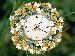 7art White Flower Clock ScreenSaver Thumbnail