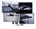 B-1B Lancer Screen Saver & Wallpapaer  Image
