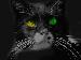 Beware the Black Cat Screensaver 2.0 Image