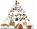 Food Pyramid Animated Diete Screen Saver Thumbnail