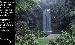 forest waterfalls 2 Thumbnail