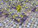 Pacman3D 1.3 Image