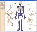 Skeleton - Bone Builder Thumbnail
