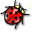 Bugs Images Collection Software Download