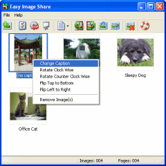 Easy Image Share Software Download