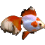 Goldfish Aquarium Software Download