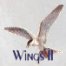 Wings II Email Stationery Software Download