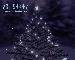 3d Christmas Tree ScreenSaver Thumbnail